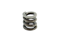 Polarstar High Pressure Regulator Spring for MR - UGS - CGS
